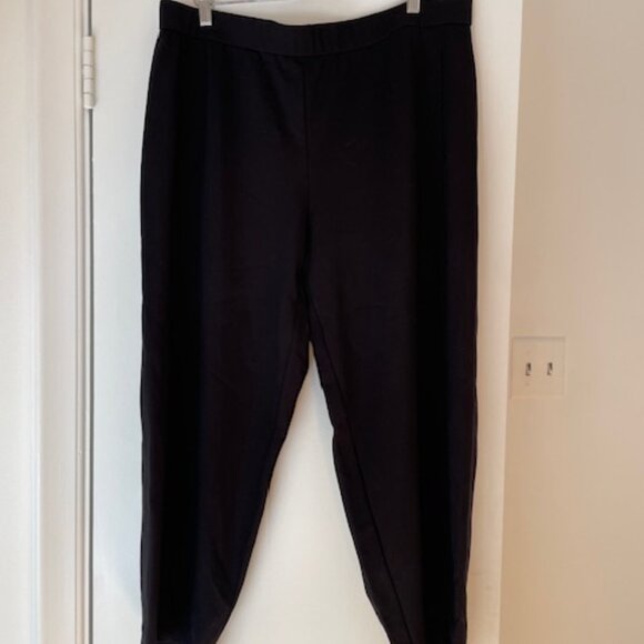 Eileen Fisher Pants - Picture 1 of 3